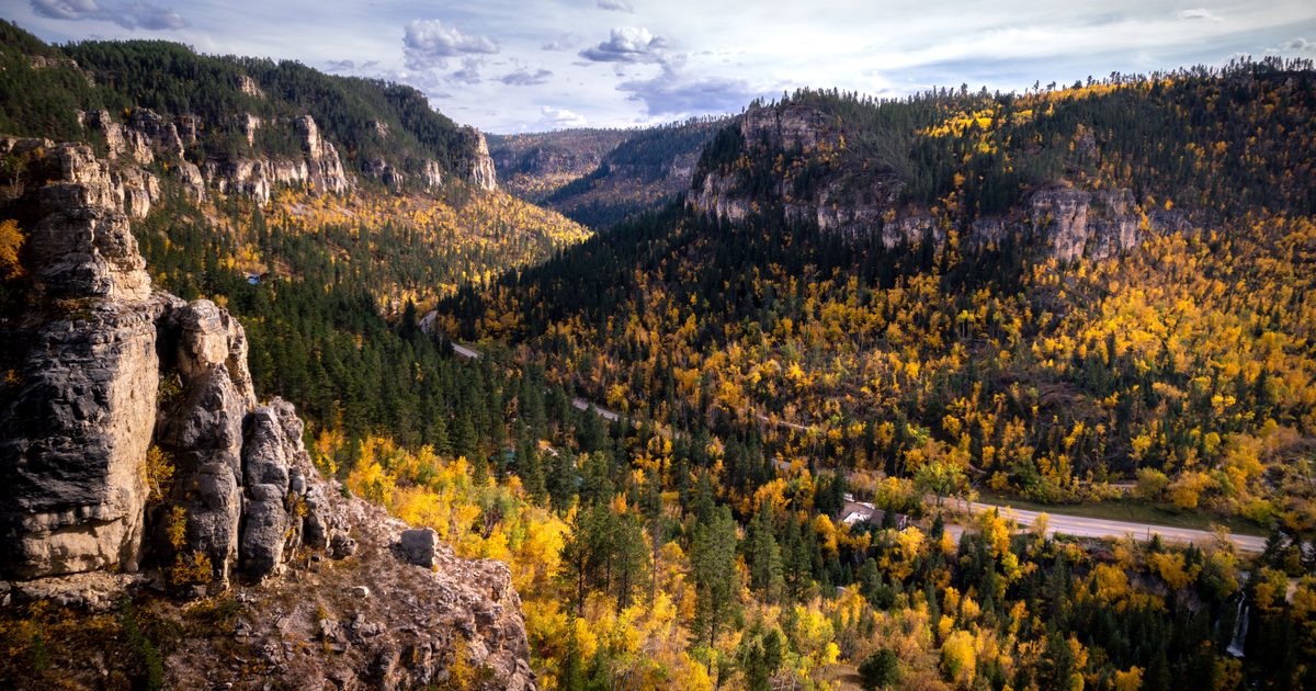 Scenic fall in the Black Hills